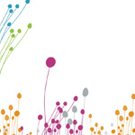 Aceite esencial Anís estrellado