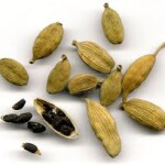 Por que usar el Aceite esencial Cardamomo