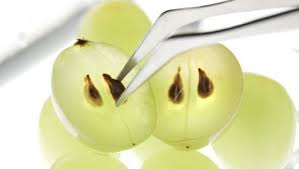 propiedades semilla de uva