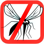 Repelente mosquitos – Como hacerte un repelente de insectos de forma natural