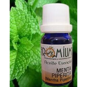 menta_piperita_m_3