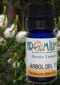 Comprar aceite esencial árbol del té