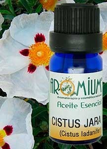 Aceite esencial Cistus Jara