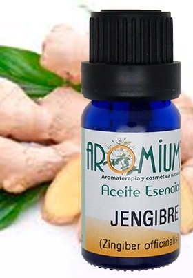 Aceite esencial Jengibre