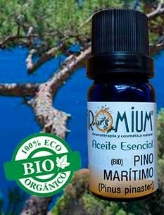 Aceite esencial Pino Marítimo Bio - Trementina