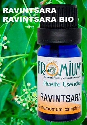 Aceite esencial Ravintsara Bio
