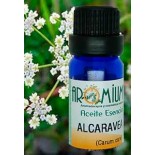 Aceite esencial Alcaravea