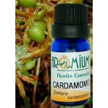 Aceite esencial Cardamomo