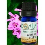 Aceite esencial Geranio Egipto