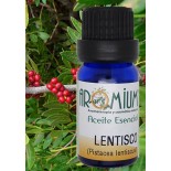 Aceite esencial Lentisco