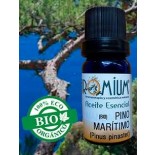 Aceite esencial Pino Marítimo Bio - Trementina