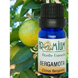 Aceite esencial Bergamota 