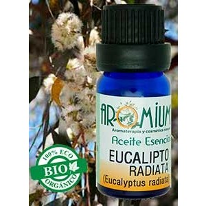 Aceite esencial Eucalipto radiata (Bio)