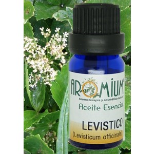 Aceite esencial levistico