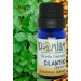 Aceite esencial Cilantro