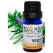 Aceite esencial Romero Cineol Bio