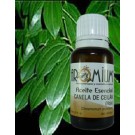 Aceite esencial Canela (hojas)